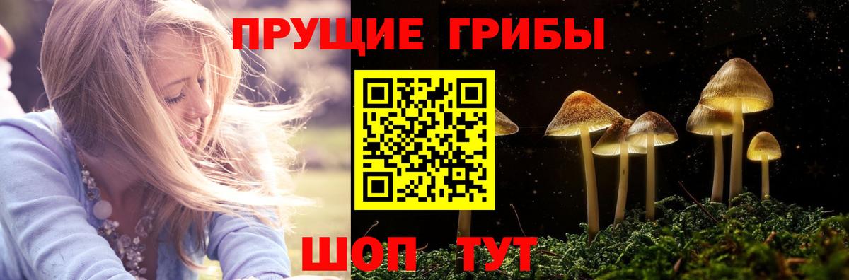 Галлюциногенные грибы GOLDEN TEACHER Сибай